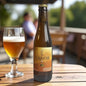 CAROR IPA (4)
